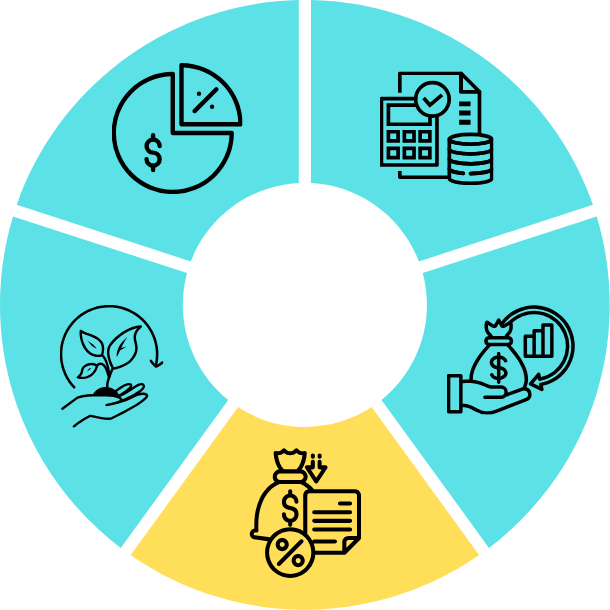 Debt and risk management